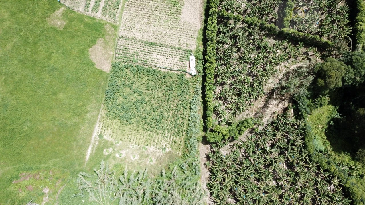 Terreno para Venda em Vila Franca do Campo (São Miguel) Foto 23