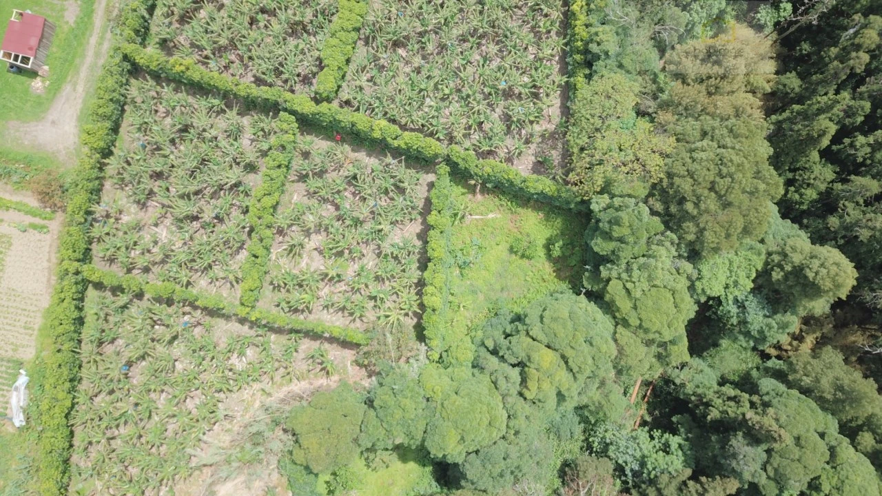 Terreno para Venda em Vila Franca do Campo (São Miguel) Foto 24