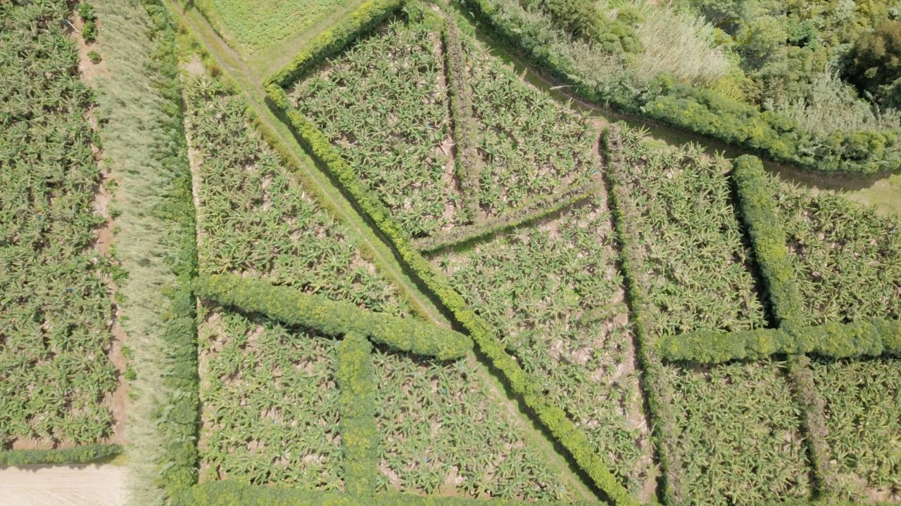 Terreno para Venda em Vila Franca do Campo (São Miguel) Foto 25