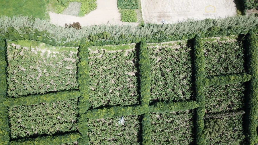 Terreno para Venda em Vila Franca do Campo (São Miguel) Foto 20