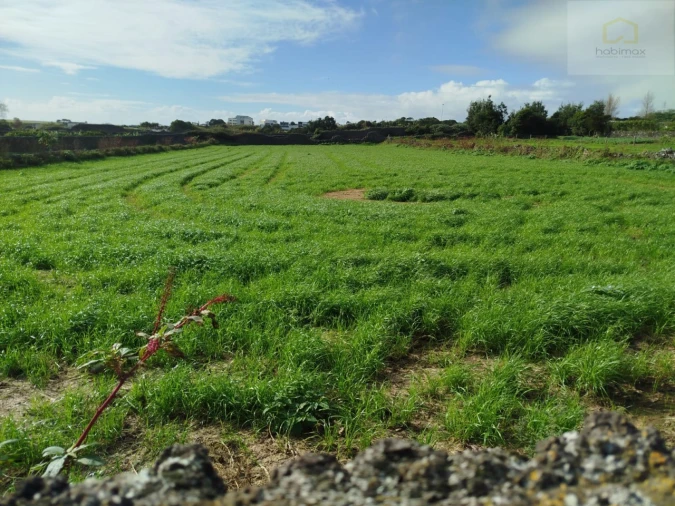 Terreno para Venda em Santa Clara Foto 3