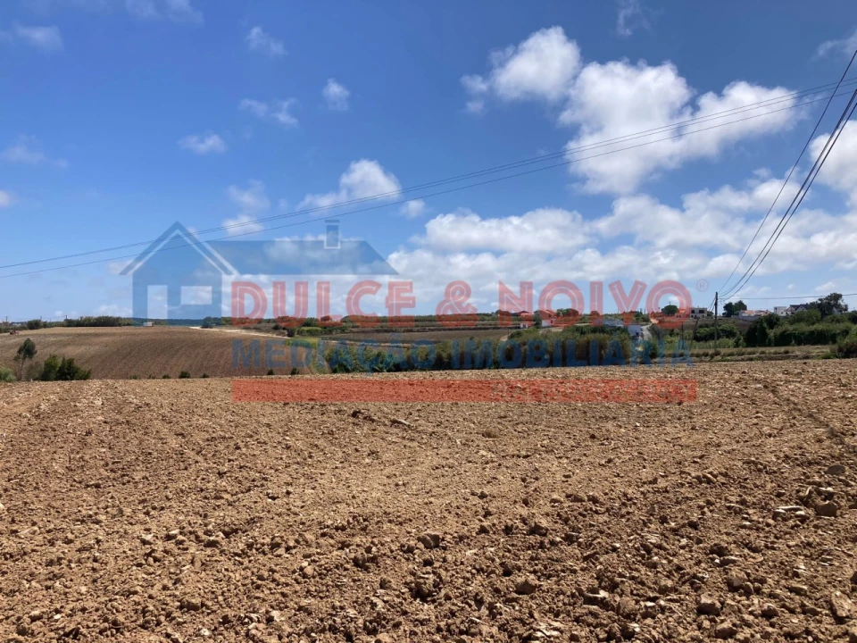 Terreno Agricola ou Rústico para Venda em Atouguia da Baleia Foto 9