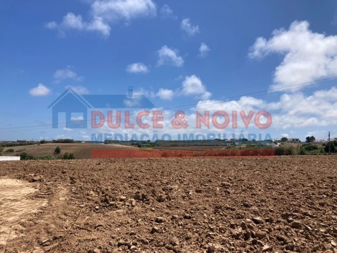 Terreno Agricola ou Rústico para Venda em Atouguia da Baleia Foto 6