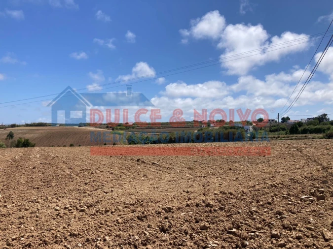 Terreno Agricola ou Rústico para Venda em Atouguia da Baleia Foto 9
