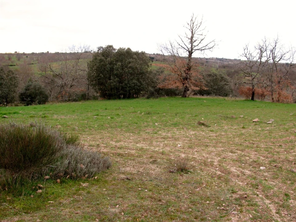 Terreno para Venda em Miranda do Douro Foto 10