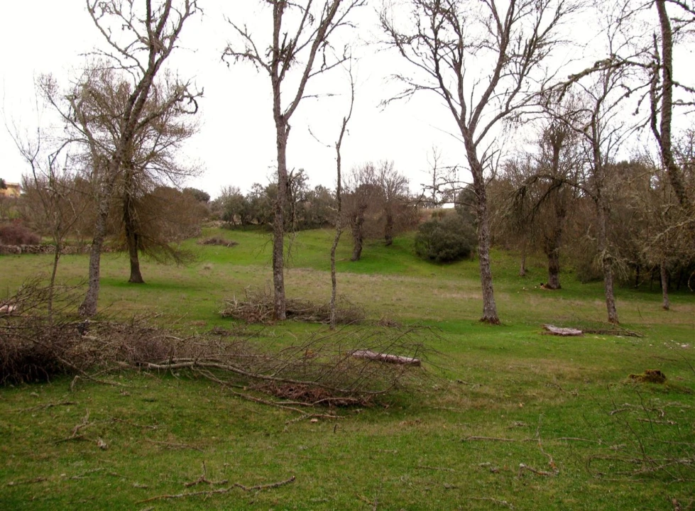 Terreno para Venda em Miranda do Douro Foto 15