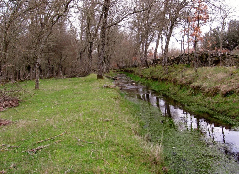 Terreno para Venda em Miranda do Douro Foto 3