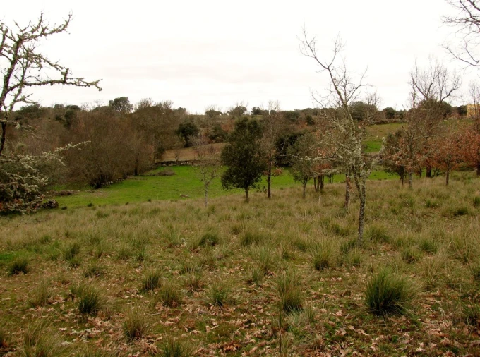 Terreno para Venda em Miranda do Douro Foto 12
