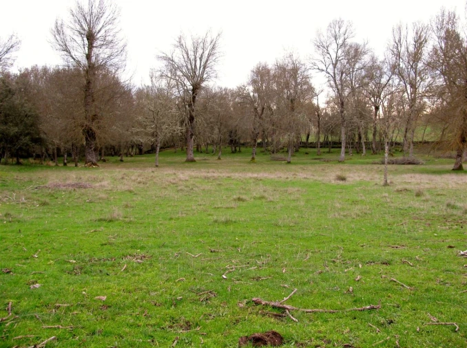Terreno para Venda em Miranda do Douro Foto 14