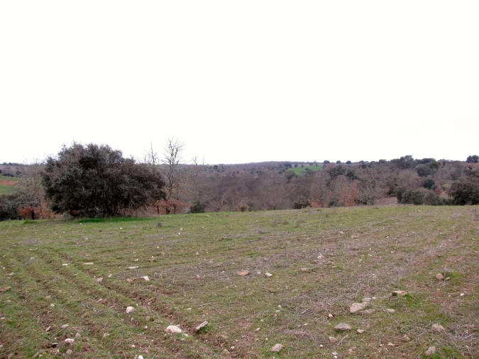 Terreno para Venda em Miranda do Douro Foto 6