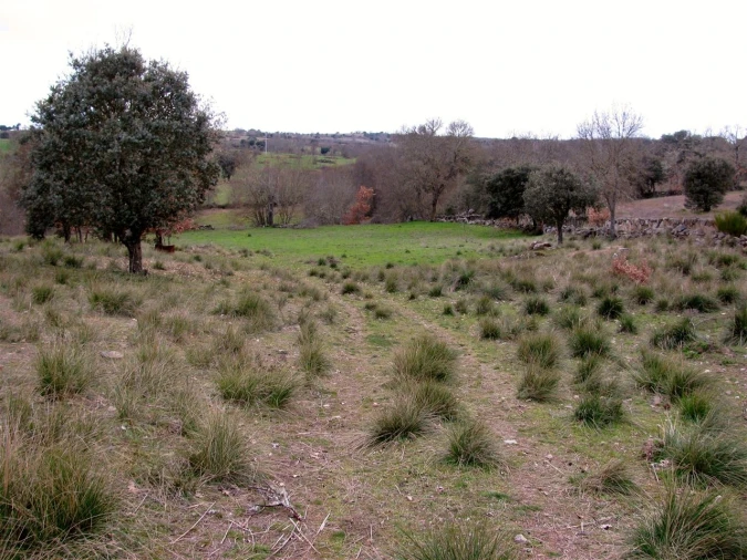 Terreno para Venda em Miranda do Douro Foto 16