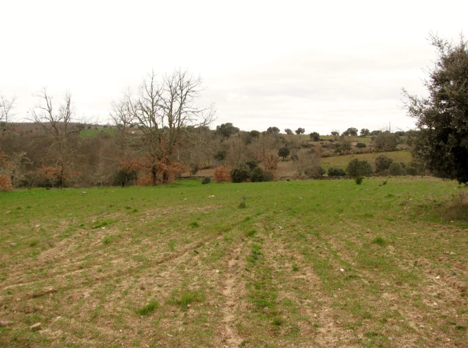 Terreno para Venda em Miranda do Douro Foto 11