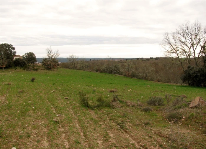 Terreno para Venda em Miranda do Douro Foto 9