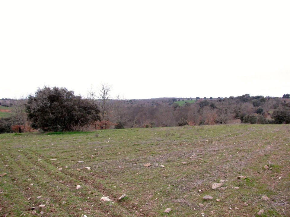 Terreno para Venda em Miranda do Douro Foto 6