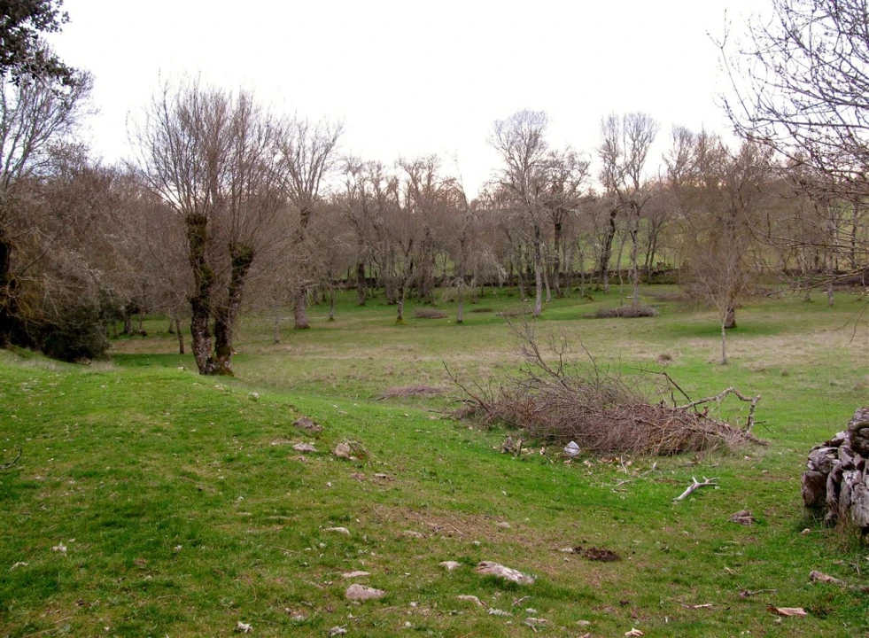 Terreno para Venda em Miranda do Douro Foto 13