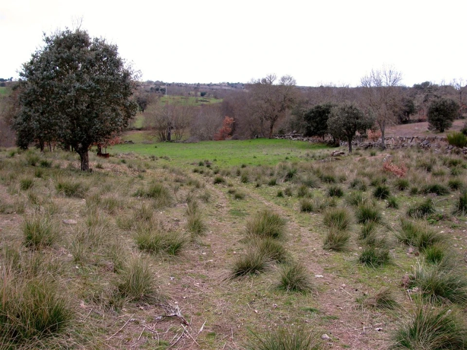 Terreno para Venda em Miranda do Douro Foto 16