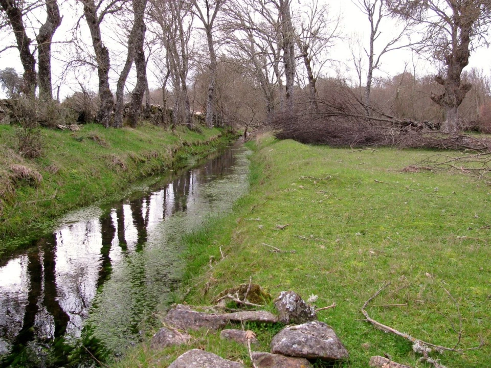 Terreno para Venda em Miranda do Douro Foto 4