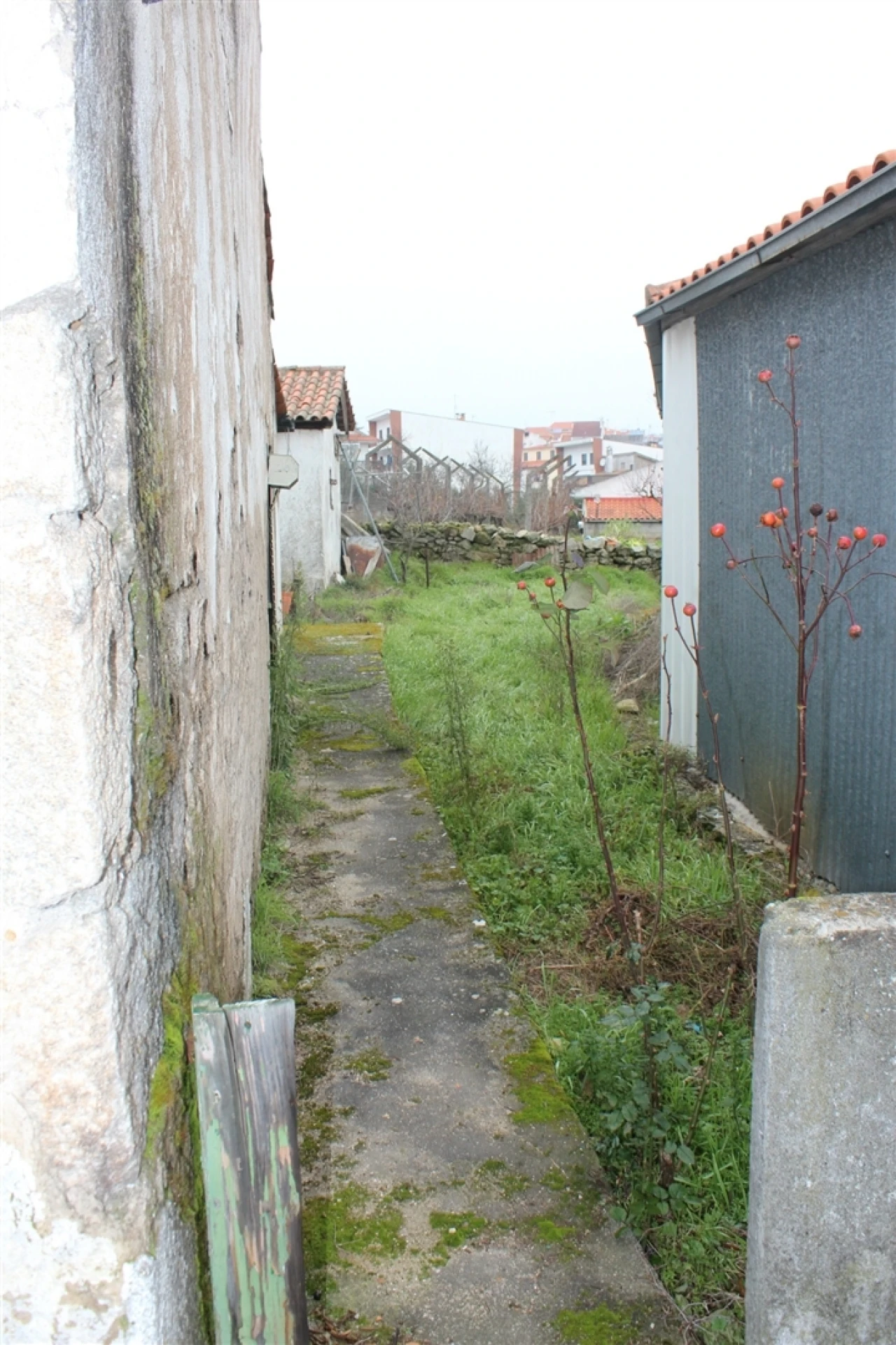 Moradia T3 para Venda em Miranda do Douro Foto 4