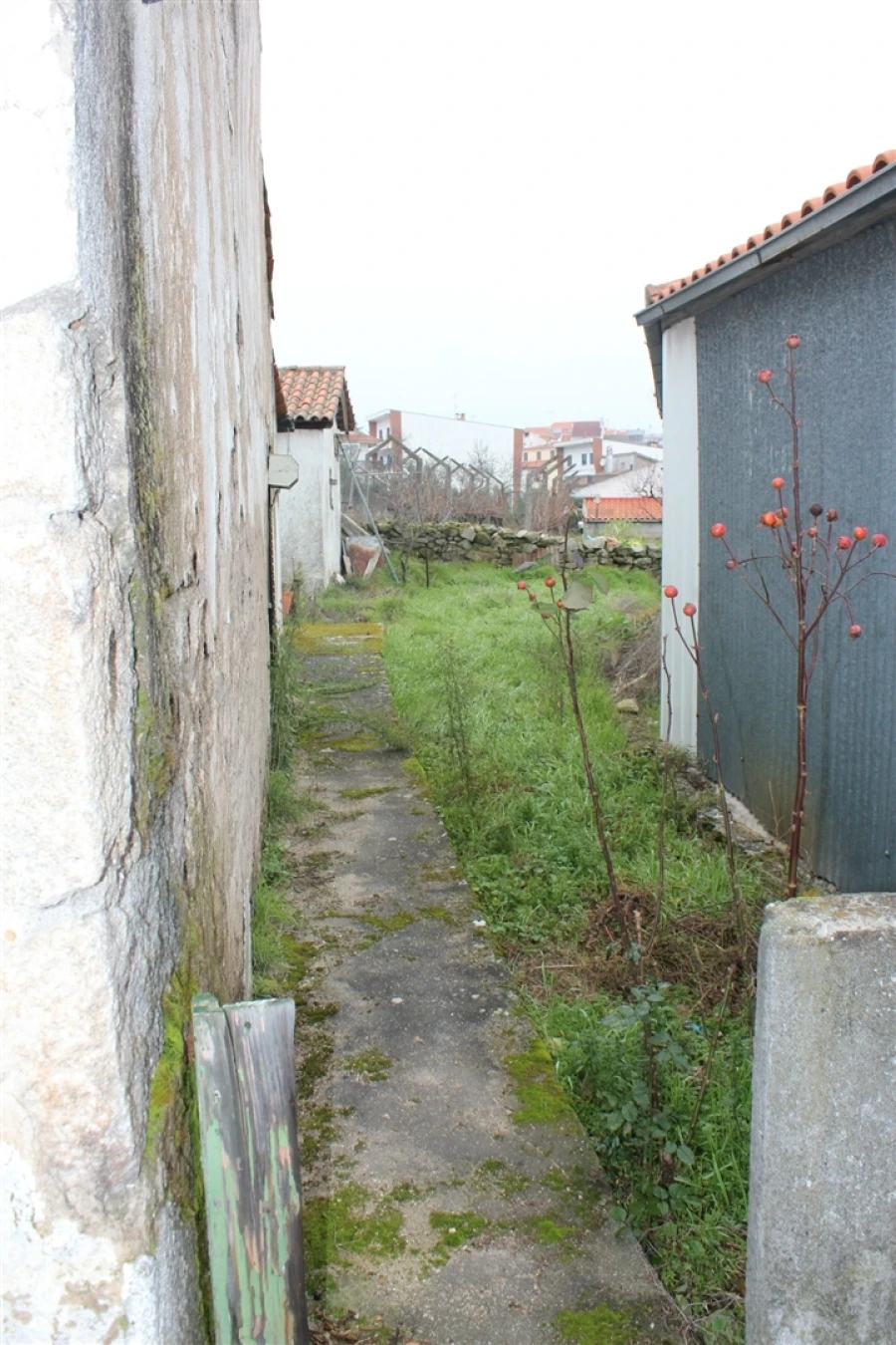 Moradia T3 para Venda em Miranda do Douro Foto 4