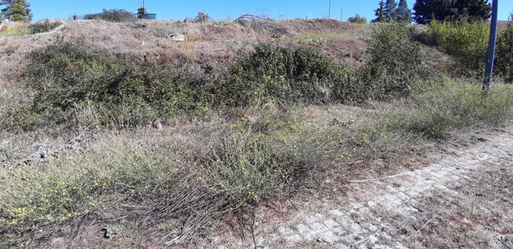 Terreno para Venda em Miranda do Douro Foto 7