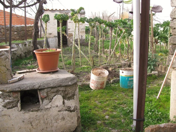 Prédio para Venda em Miranda do Douro Foto 5