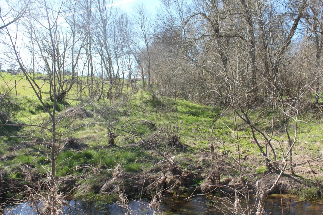 Terreno Agricola ou Rústico para Venda em Miranda do Douro Foto 7
