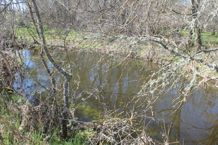 Terreno Agricola ou Rústico para Venda em Miranda do Douro Foto 4