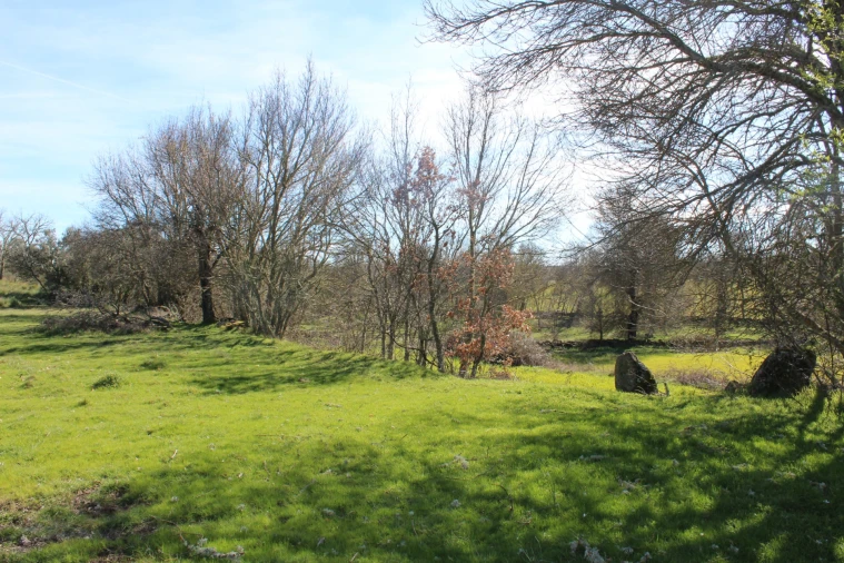 Terreno Agricola ou Rústico para Venda em Miranda do Douro Foto 10