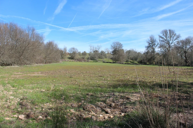 Terreno Agricola ou Rústico para Venda em Miranda do Douro Foto 1