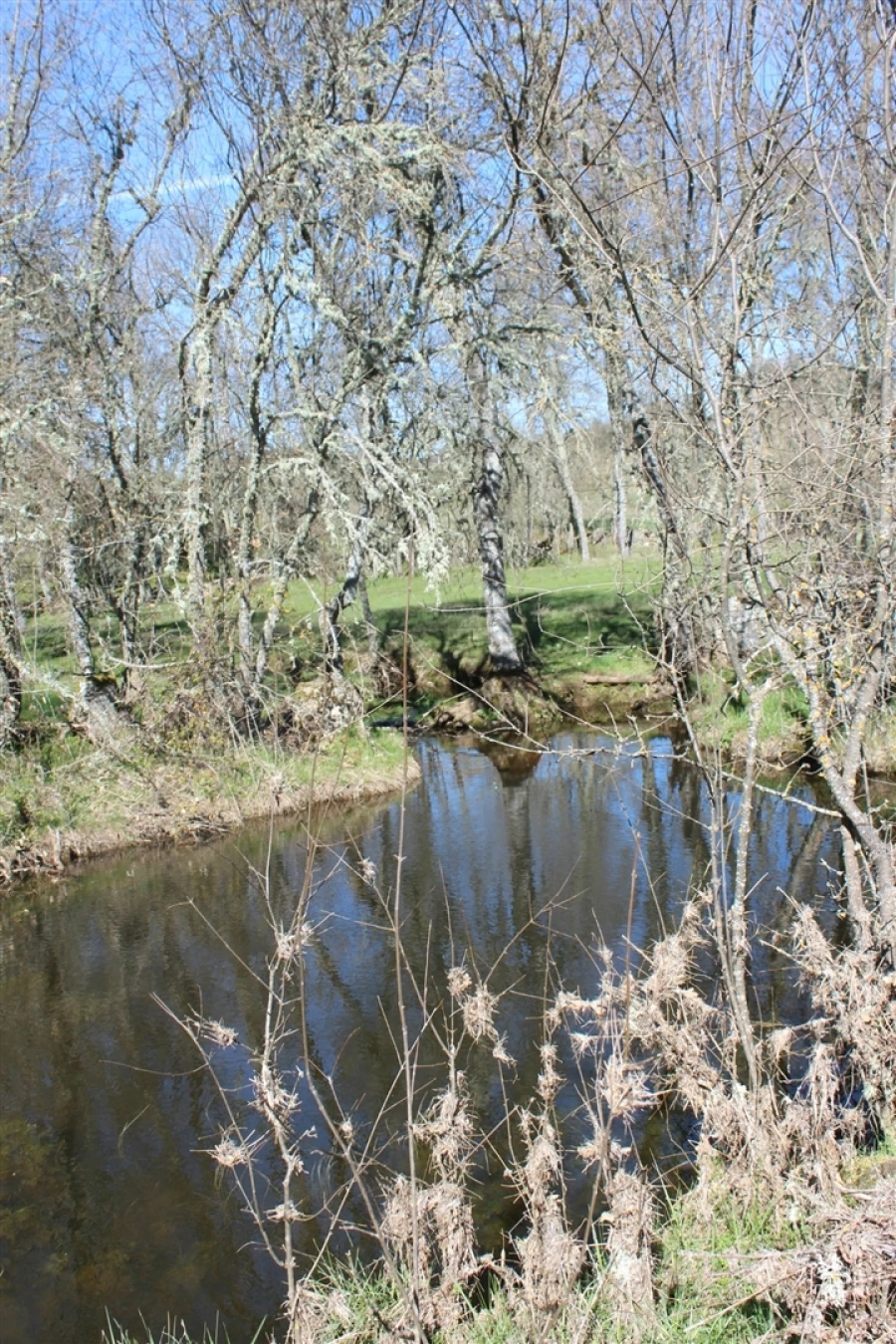 Terreno Agricola ou Rústico para Venda em Miranda do Douro Foto 3
