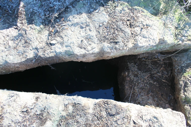 Terreno Agricola ou Rústico para Venda em Miranda do Douro Foto 8