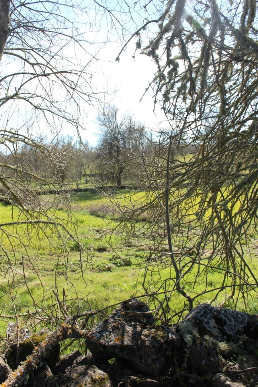 Terreno Agricola ou Rústico para Venda em Miranda do Douro Foto 2