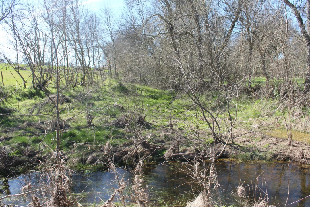 Terreno Agricola ou Rústico para Venda em Miranda do Douro Foto 6