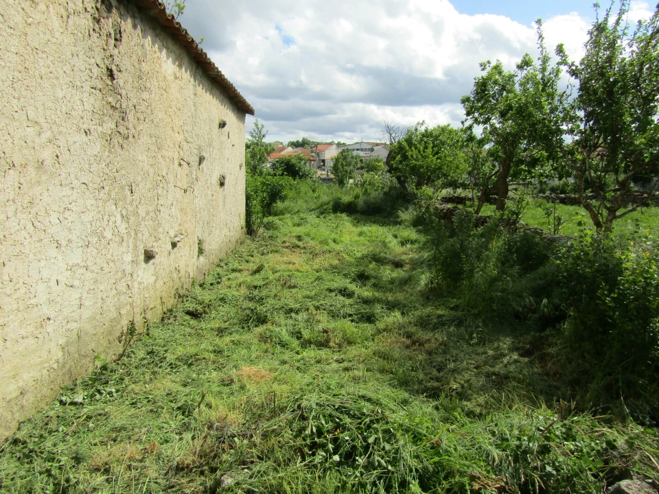 Moradia T3 para Venda em Malhadas Foto 3