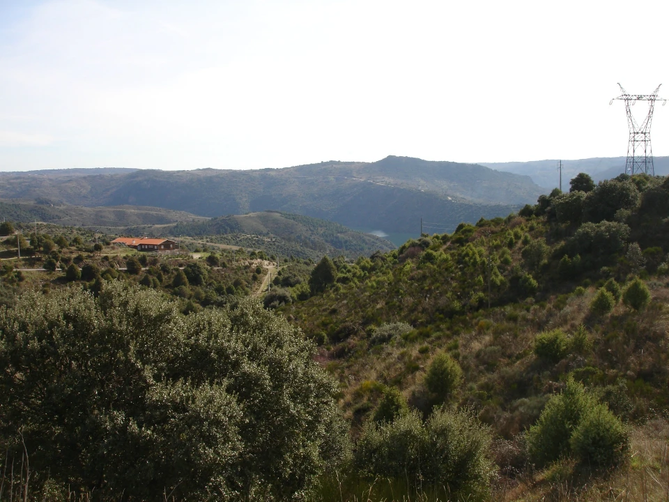 Terreno para Venda em Bemposta Foto 9