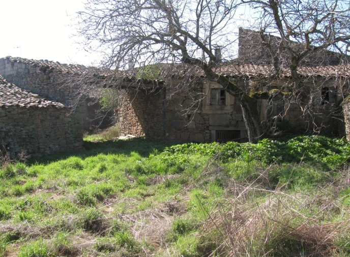 Prédio para Venda em Picote Foto 12