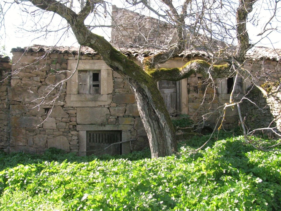 Prédio para Venda em Picote Foto 5