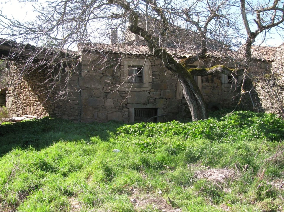 Prédio para Venda em Picote Foto 11