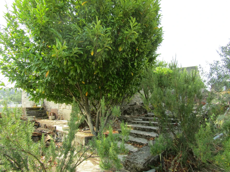 Quinta T3 para Venda em Caçarelhos e Angueira Foto 22