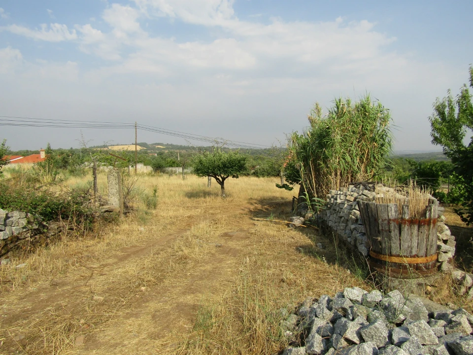 Quinta T3 para Venda em Caçarelhos e Angueira Foto 27