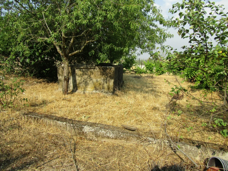 Quinta T3 para Venda em Caçarelhos e Angueira Foto 8