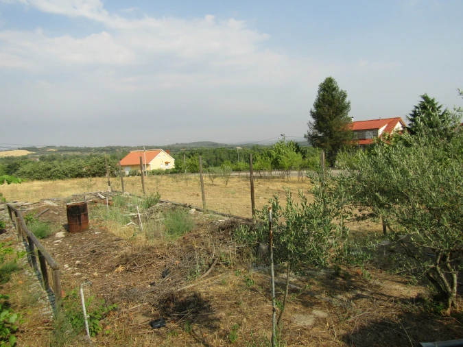 Quinta T3 para Venda em Caçarelhos e Angueira Foto 23