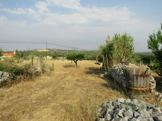 Quinta T3 para Venda em Caçarelhos e Angueira Foto 27
