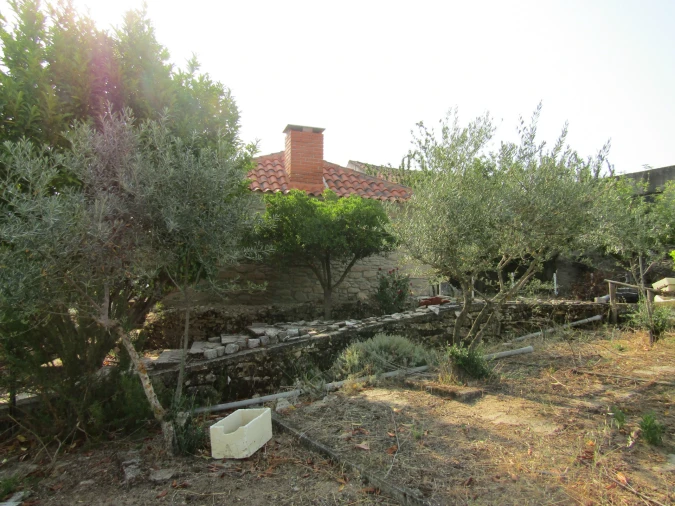 Quinta T3 para Venda em Caçarelhos e Angueira Foto 18