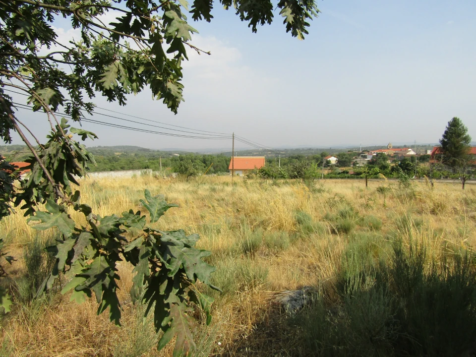 Quinta T3 para Venda em Caçarelhos e Angueira Foto 34