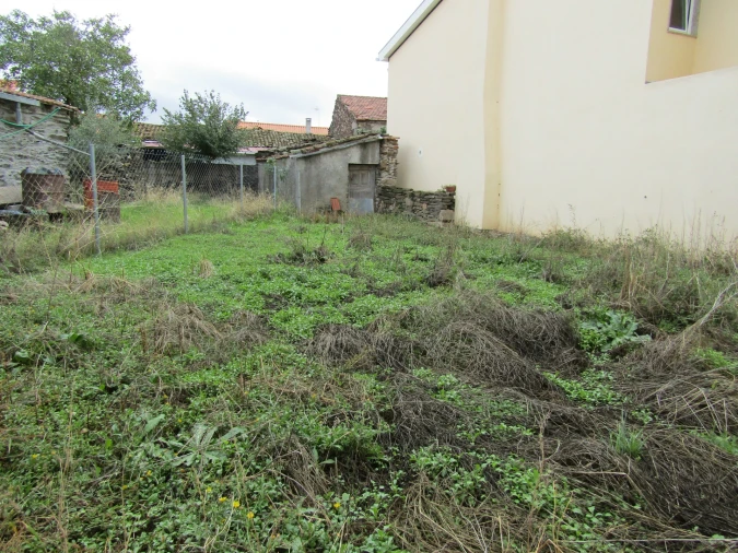 Moradia T4 para Venda em Palaçoulo Foto 3