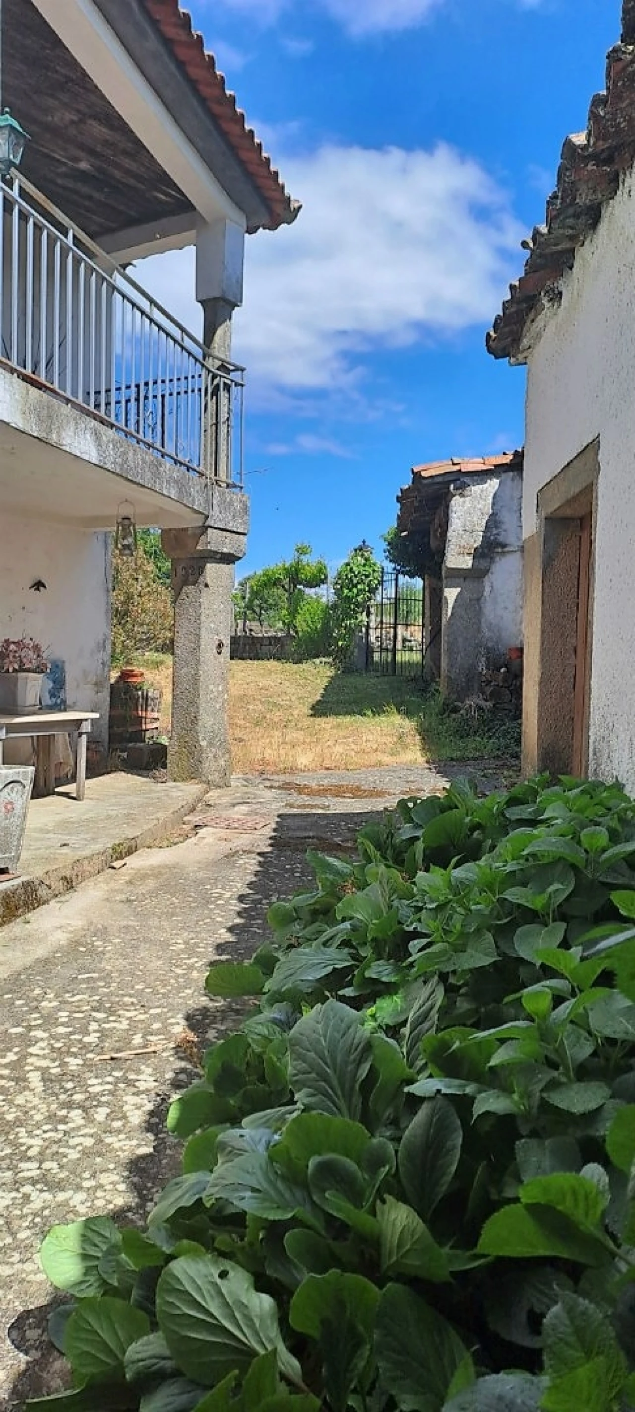 Moradia T6 para Venda em Genisio Foto 36