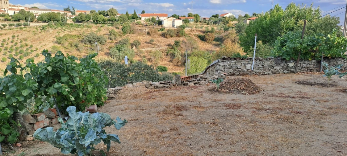 Moradia T3 para Venda em Miranda do Douro Foto 32