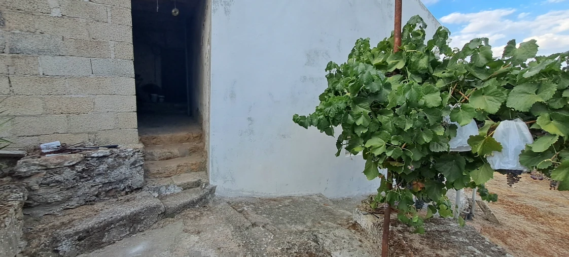 Moradia T3 para Venda em Miranda do Douro Foto 30