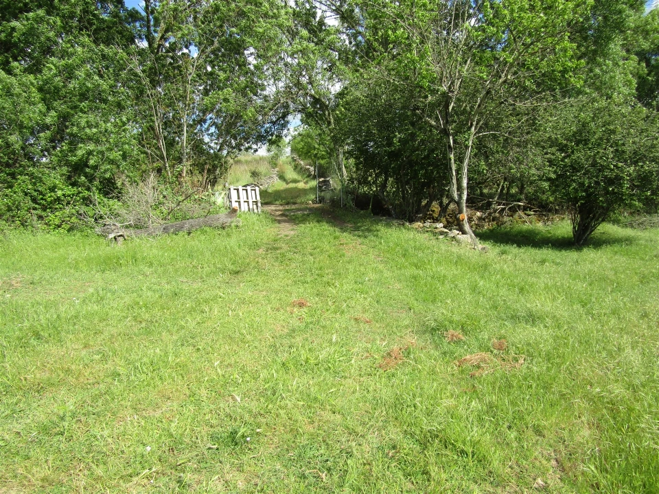 Terreno para Venda em Miranda do Douro Foto 14